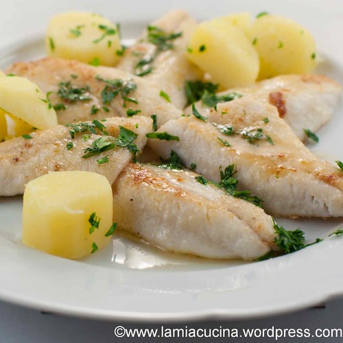 Eglifilets 0_2013 15 Feb_9611