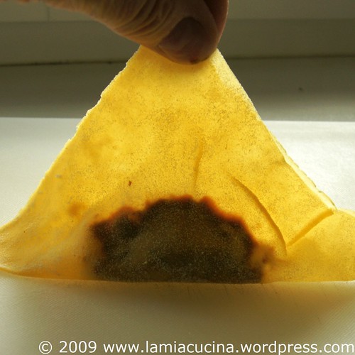 Bratenravioli extrafein 0_2009 03 15_9043