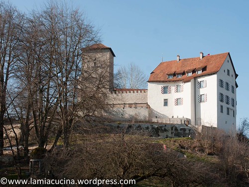 CH-5106 Veltheim- Schloss 2016 03 10_0448