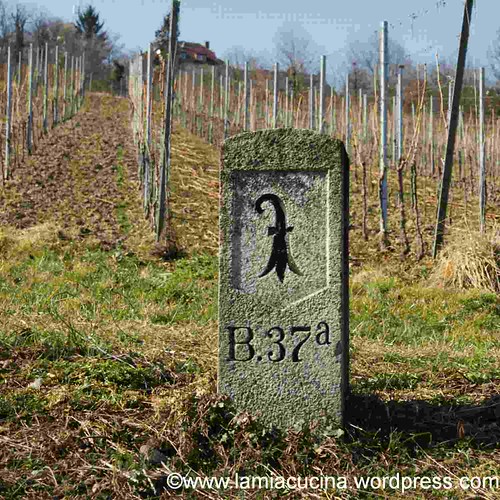 Riesling-Sylvaner 2_2012 03 01_3266