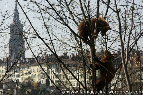 CH-3006 Bern 3_2011 03 03_2637