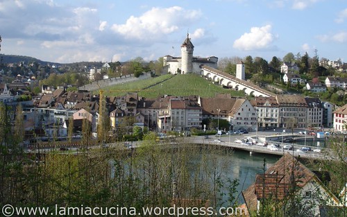 Schaffhausen Munot