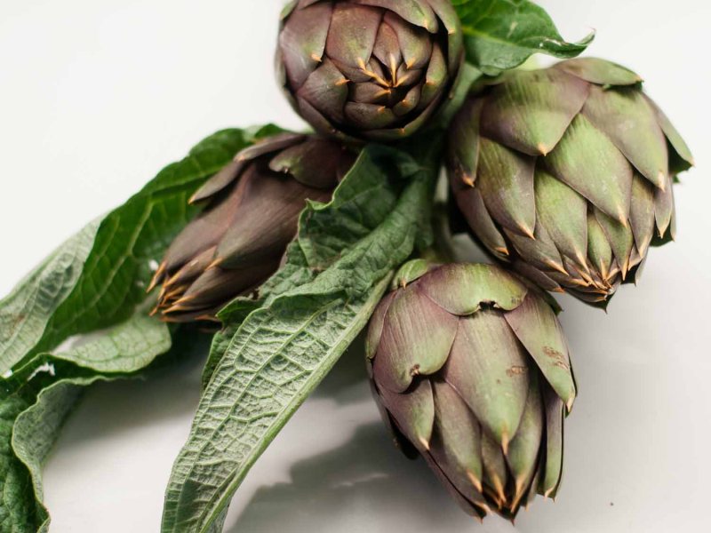Carciofi spinosi