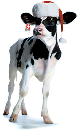 swissmilk_weihnacht07