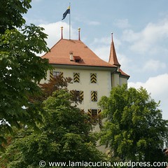 CH-6284 Gelfingen Schloss Heidegg 0_2010 08 11_8756