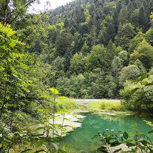 Doubs(17) 20180713_125200