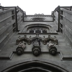 Konstanz6_Münster