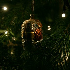 Weihnacht08 9_2008 12 21_7279