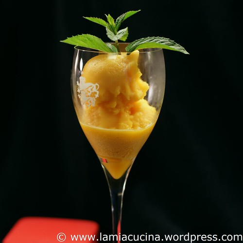 Passionsfruchtsorbet 0_2011 06 28_4679