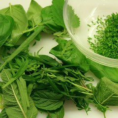 Tartelettes au fromage et herbes wer findet die Weinraute ?