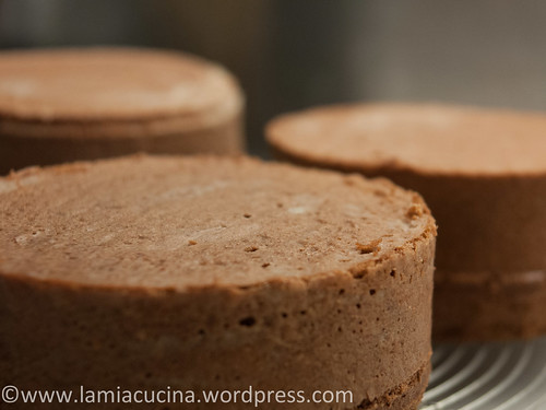Sachertorte 2014 03 01_3410