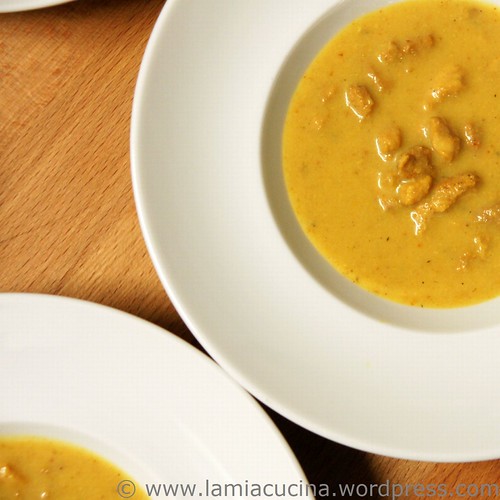 Mulligatawny 0_2011 02 26_2610