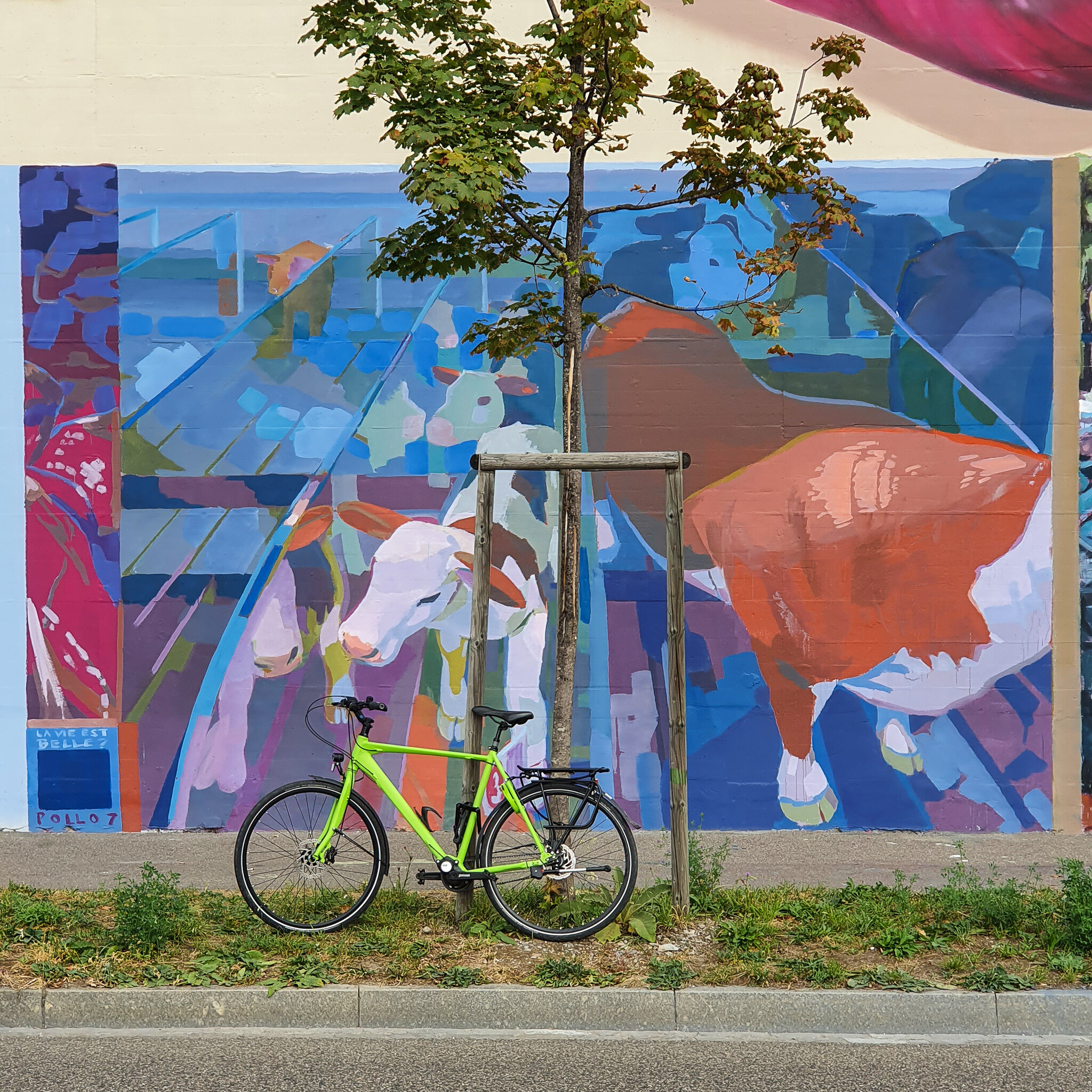 Murals 20200922_154322