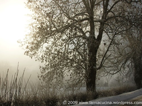 ImJura 000_2009 01 15_7690