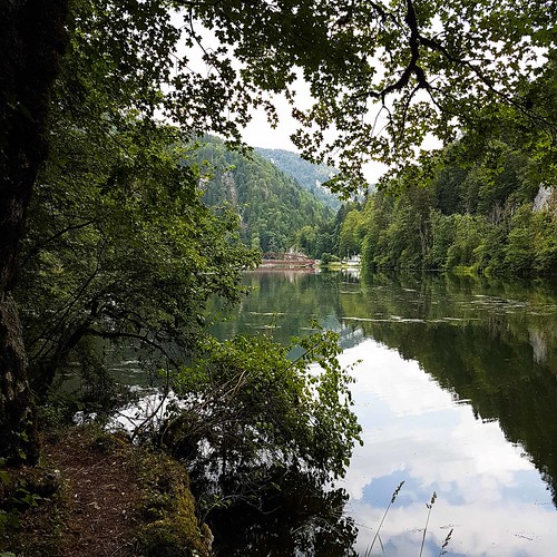Doubs(18) 20180724_160226
