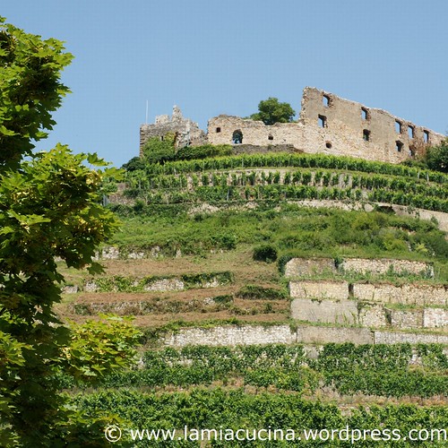 D-79219 Staufen 0_2011 07 12_4885