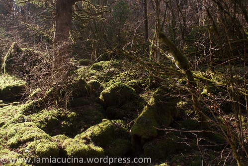 Doubs (1) Biaufond 2014 03 12_3471