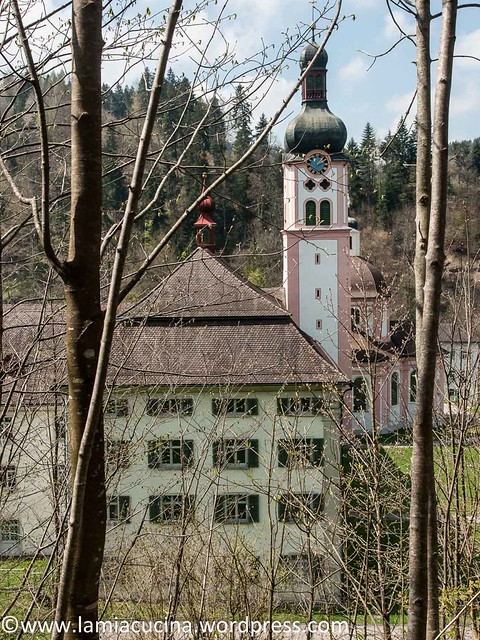 CH-8376 Fischingen 2016 04 19_0899