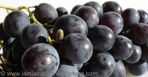 Muscat de Hambourg