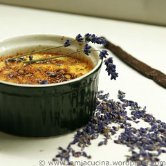 Crème brulée mit Lavendel 1_2010 06 17_7675