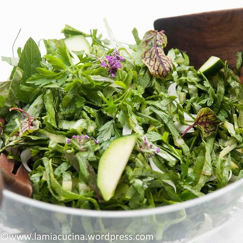 Insalata verde 2014 07 13_4782