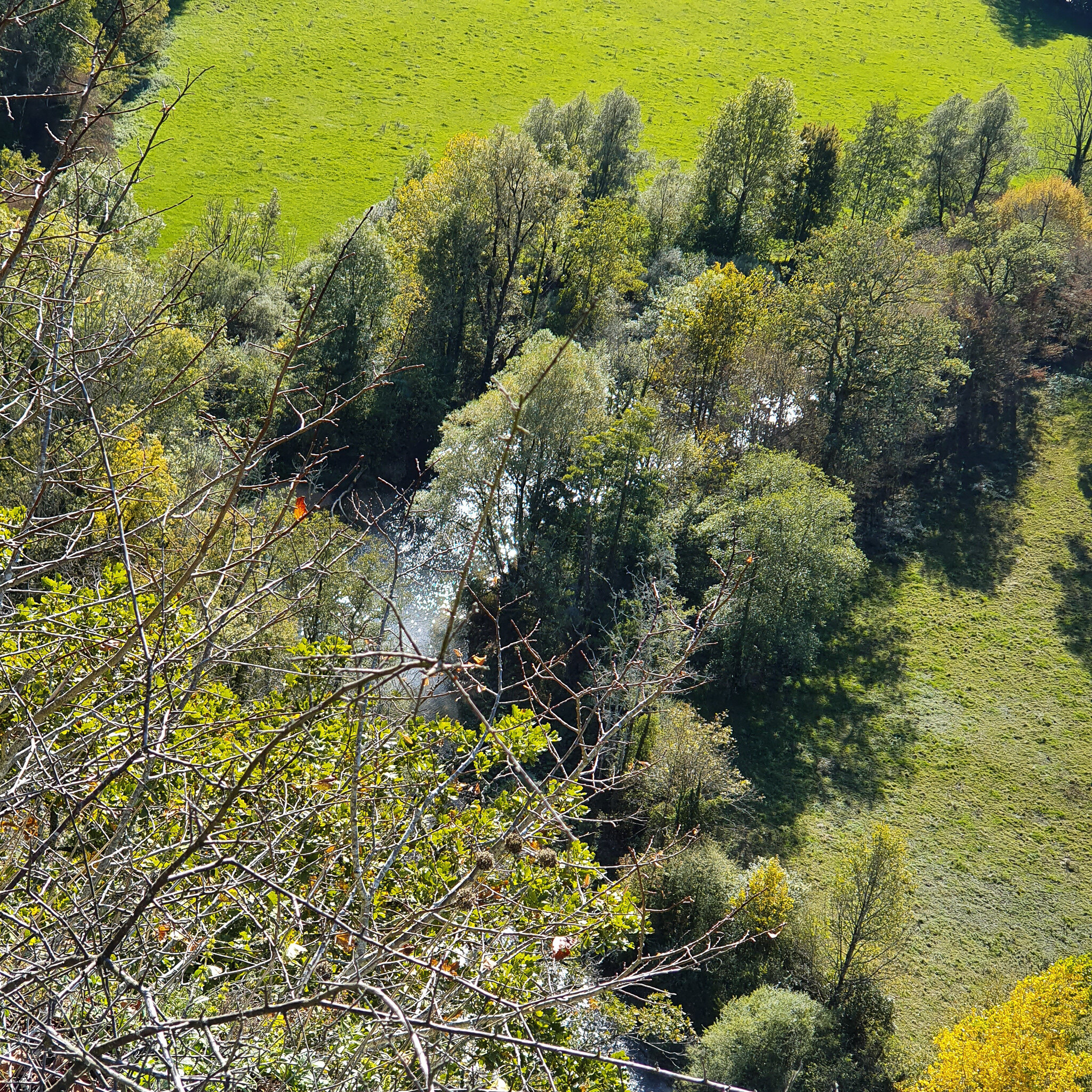 Doubs(28) 20191014_151111