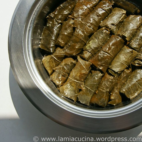 Dolmades 3_2010 04 18_6429_ed