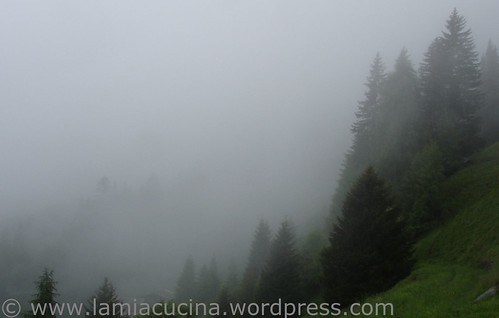 Nebel Nebbio