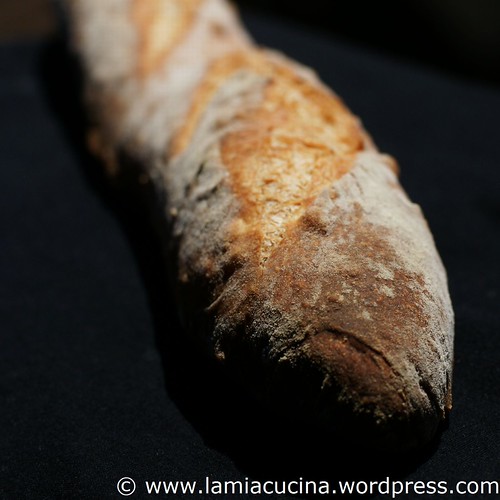Baguette 0_2011 06 05_4057
