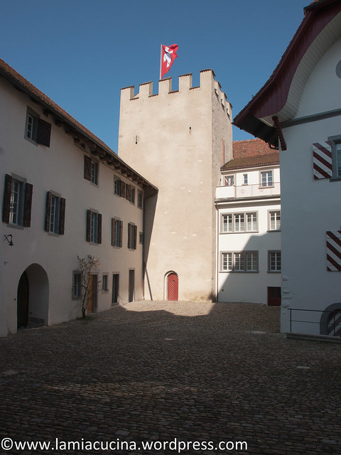 CH-5106 Veltheim- Schloss 2016 03 10_0439