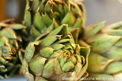Artischocken 1_2012 03 28_4043