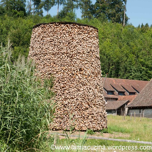 CH-8500 Frauenfeld 2013 08 05_1260