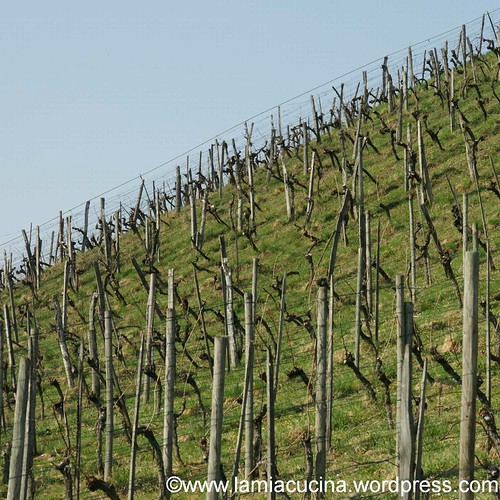Biowein 2_2012 03 23_3978