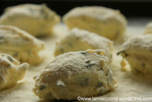 Malfatti 1_2012 10 03_7517