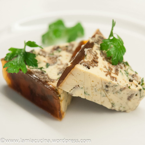 Morchelterrine 2014 10 19_6126