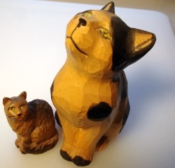 big cat