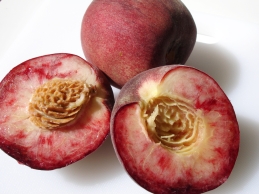 Weinbergpfirsiche