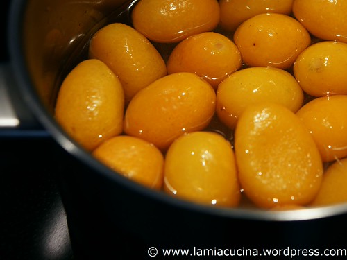 Kumquats confiert 1_2009 11 20_3745
