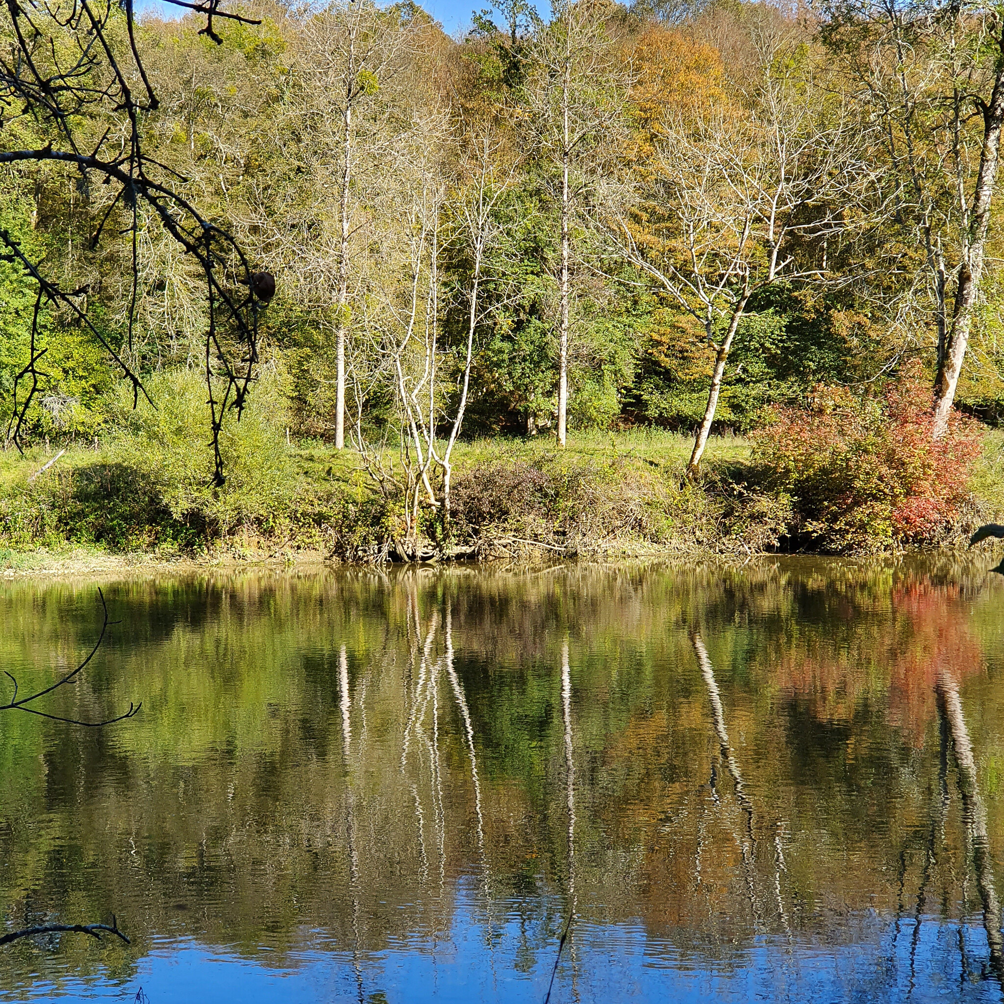 Doubs(27) 20191014_150106