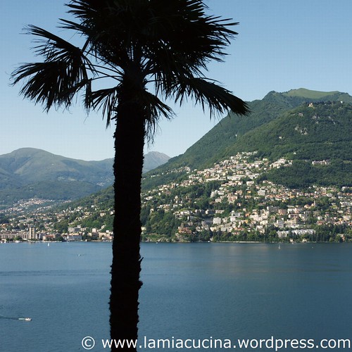 CH-6900 Lugano 1_2010 06 22_7746