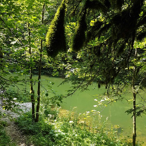 Doubs(18) 20180724_114636