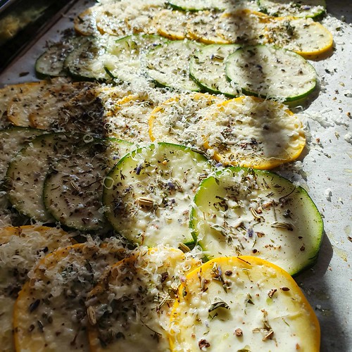 Zucchinirollen 20190826_093721