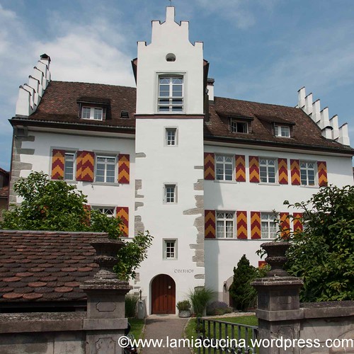 CH-8253 Diessenhofen 2013 07 09_0883