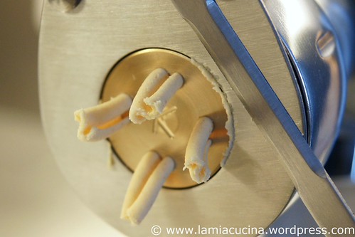 Maiscasarecce 1_2011 01 29_2051