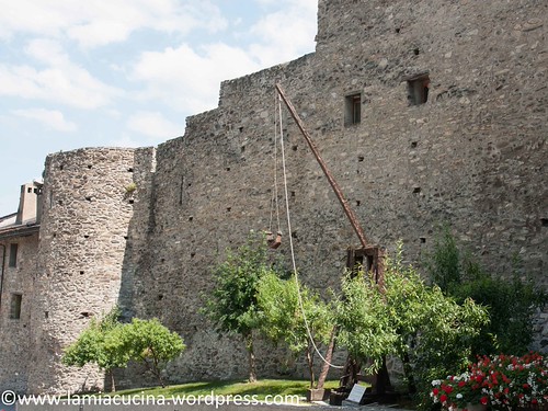 CH-1913 Saillon 2014 06 26_4561