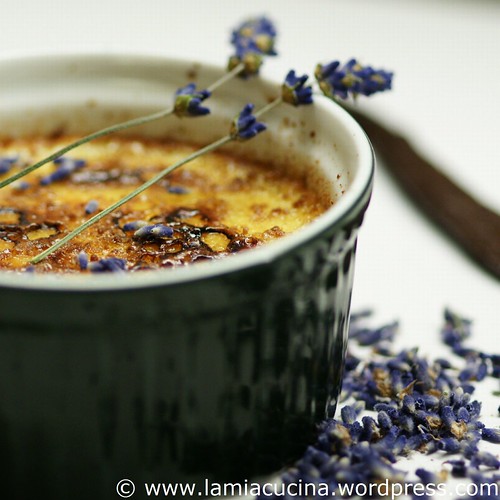 Crème brulée mit Lavendel 0_2010 06 17_7673