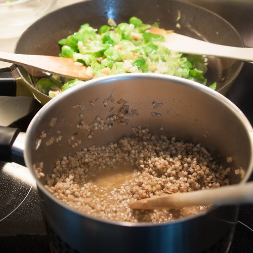 Saracenotto 2016 10 10_0431