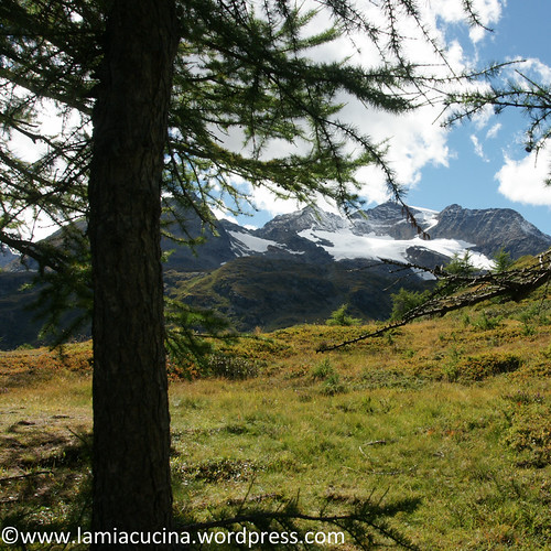 Ferien 2013 2013 09 09_1771
