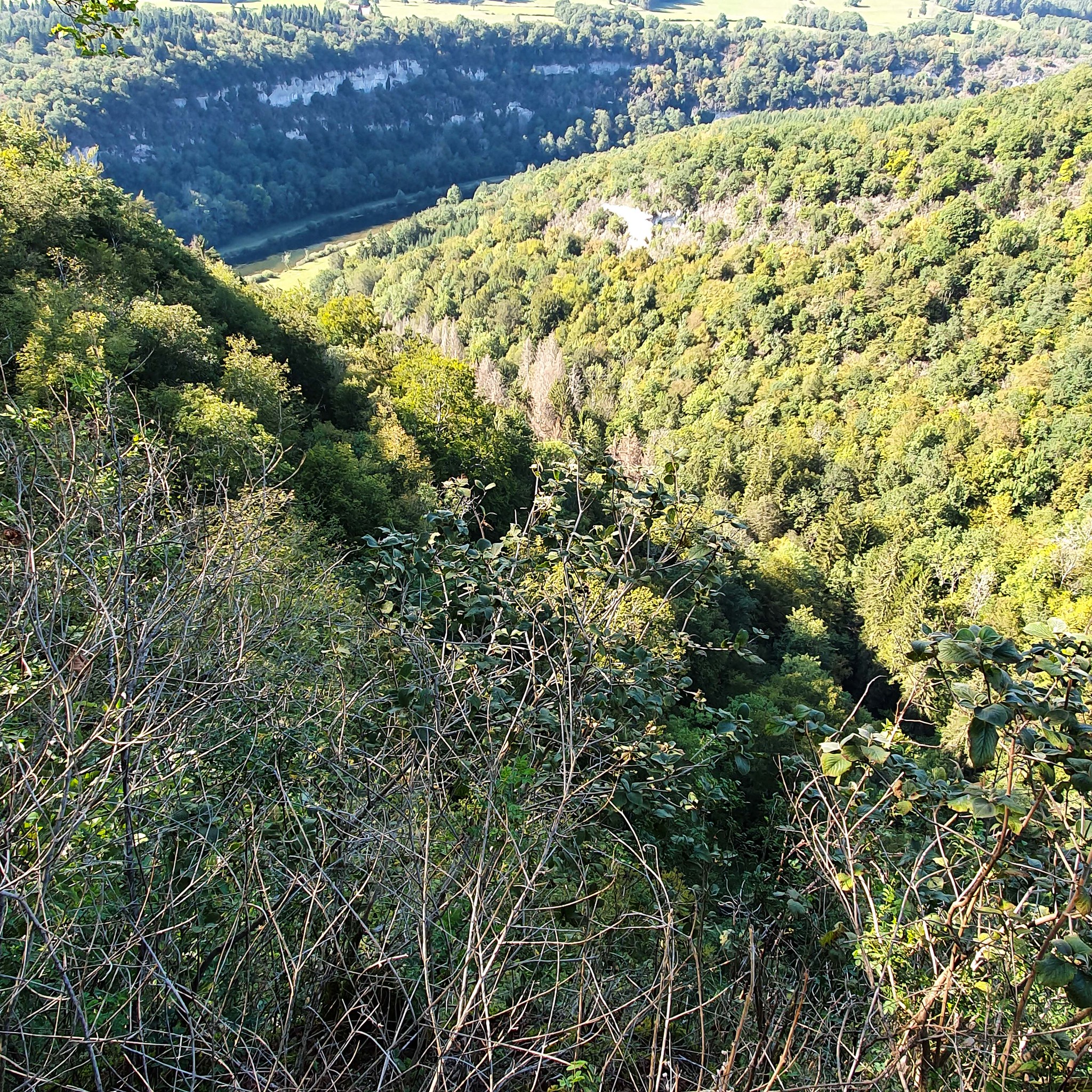 Doubs(27) 20190823_164458