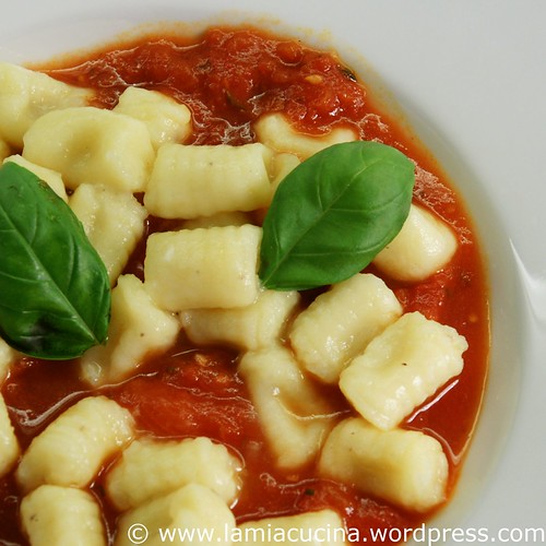 Kartoffelgnocchi 0_2009 06 06_0602